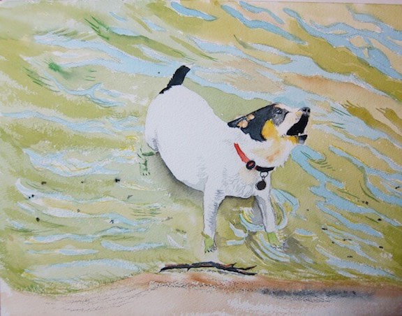 tim barraud dog at the beach watercolor