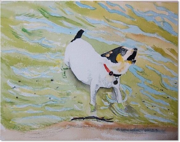 tim barraud dog at the beach watercolor