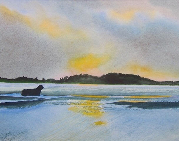 estuary watercolor barraud