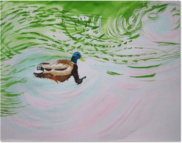 mallard drake tim barraud paintings