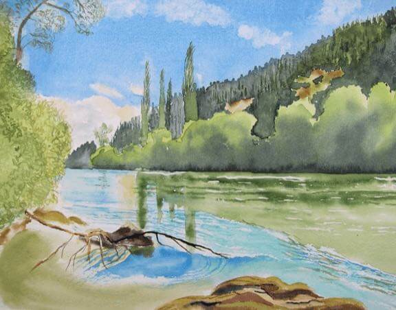 moteuka river, new zealand