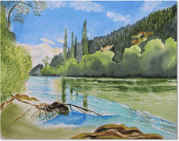 moteuka river, new zealand