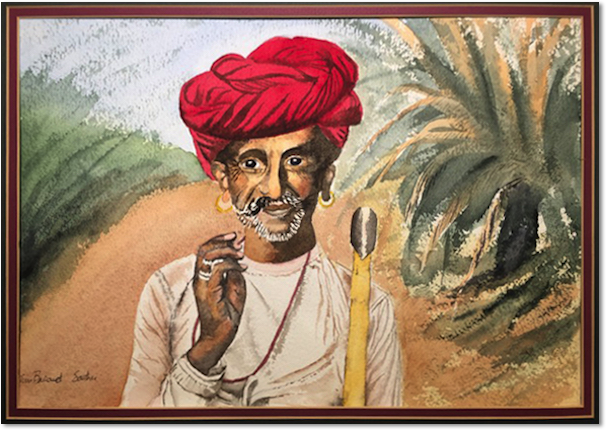 sadhu tim barraud