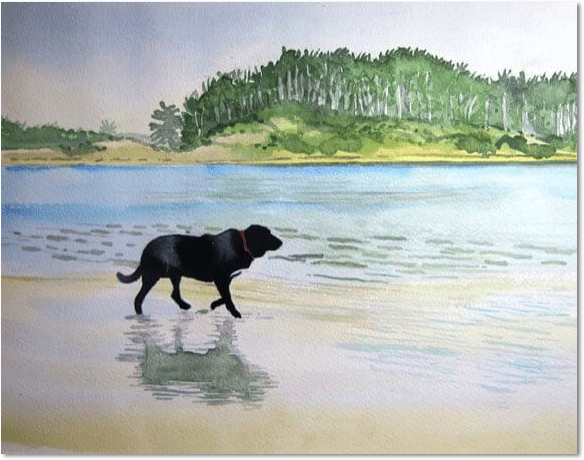 barraud watercolors dog water