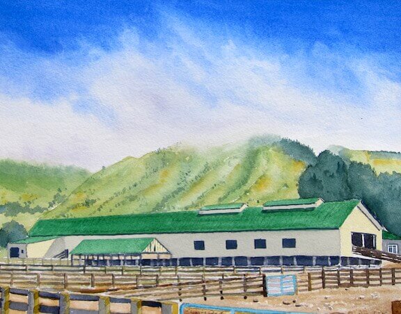 shearing shed watercolor