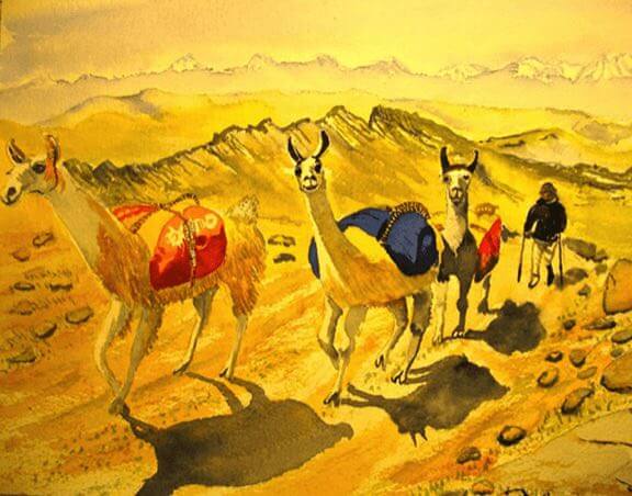alpacas tim barraud paintings