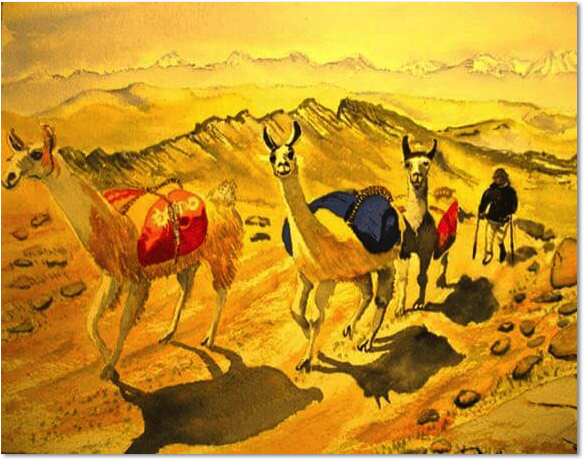 alpacas tim barraud paintings