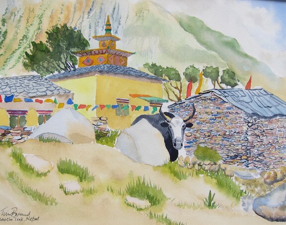 tibet tim barraud