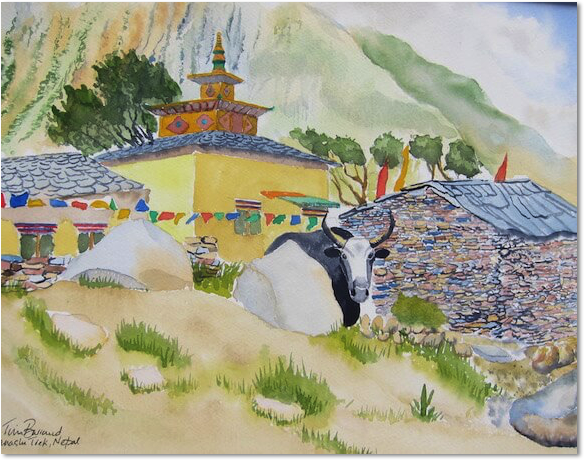 tibet tim barraud