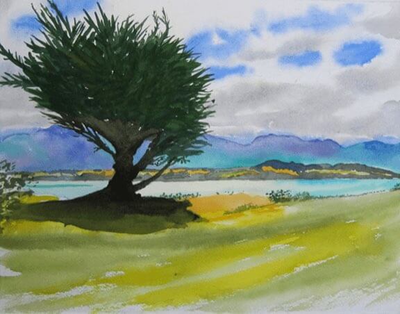 barraud watercolors new zealand