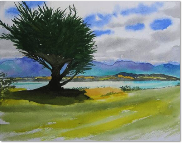 barraud watercolors new zealand