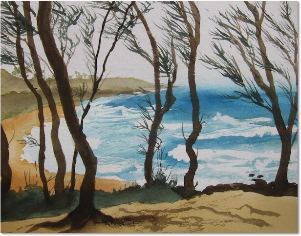 windy beach kauai tim barraud