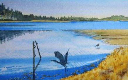 Blue Heron, Sand Lake Estuary II: Tim Barraud