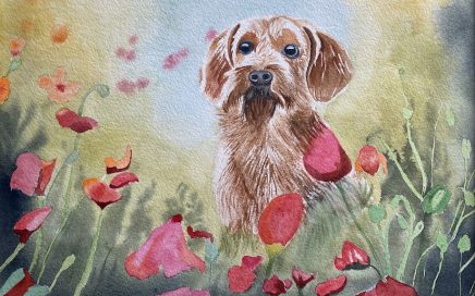 Puppy in the Poppies: Tim Barraud