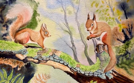 Two Red Squirrels: Tim Barraud