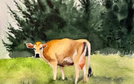 Painter Tim Barraud's watercolor of a Jersey Cow.