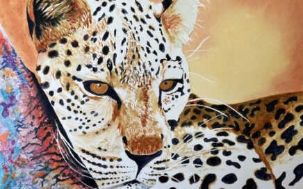 Leopard Watching: Tim Barraud