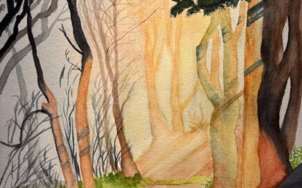 Painter Tim Barraud's watercolor of Filtered Forest Sun.