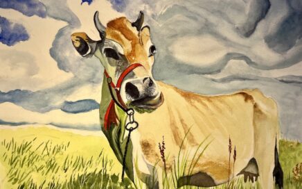 Painter Tim Barraud's watercolor of Jersey Cow I.