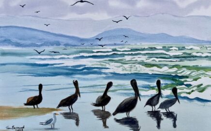 Painter Tim Barraud's watercolor of Six Pelicans & A Seagull.
