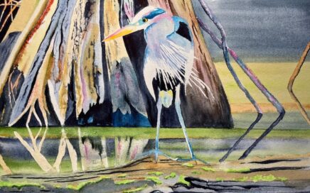 Everglades Heron: Tim Barraud